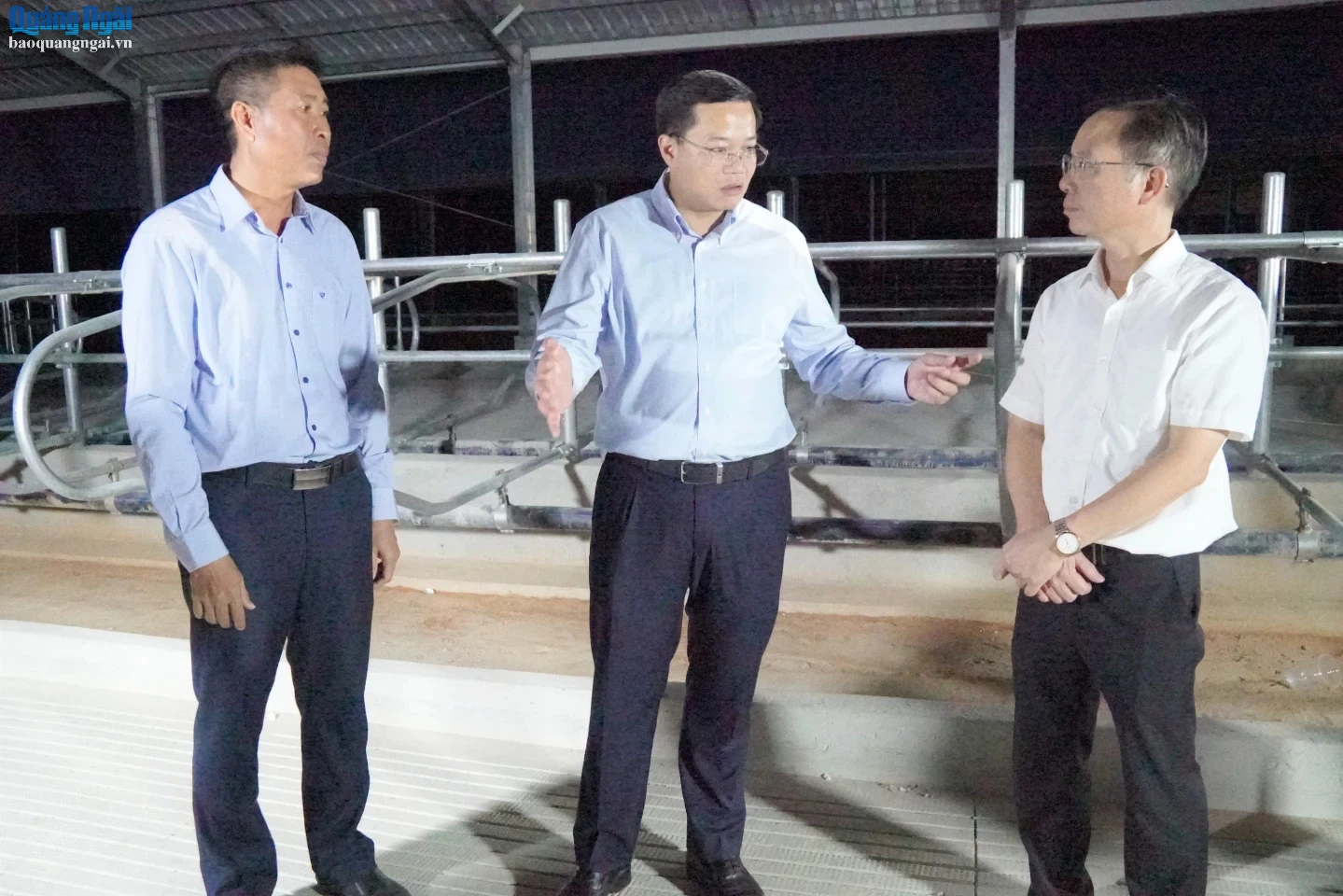 Chủ tịch UBND tỉnh Nguyễn Đức Tâm kiểm tra, chỉ đạo doanh nghiệp và lãnh đạo xã Mô Rai thực hiện dự án Chăn nuôi bò sữa tập trung.