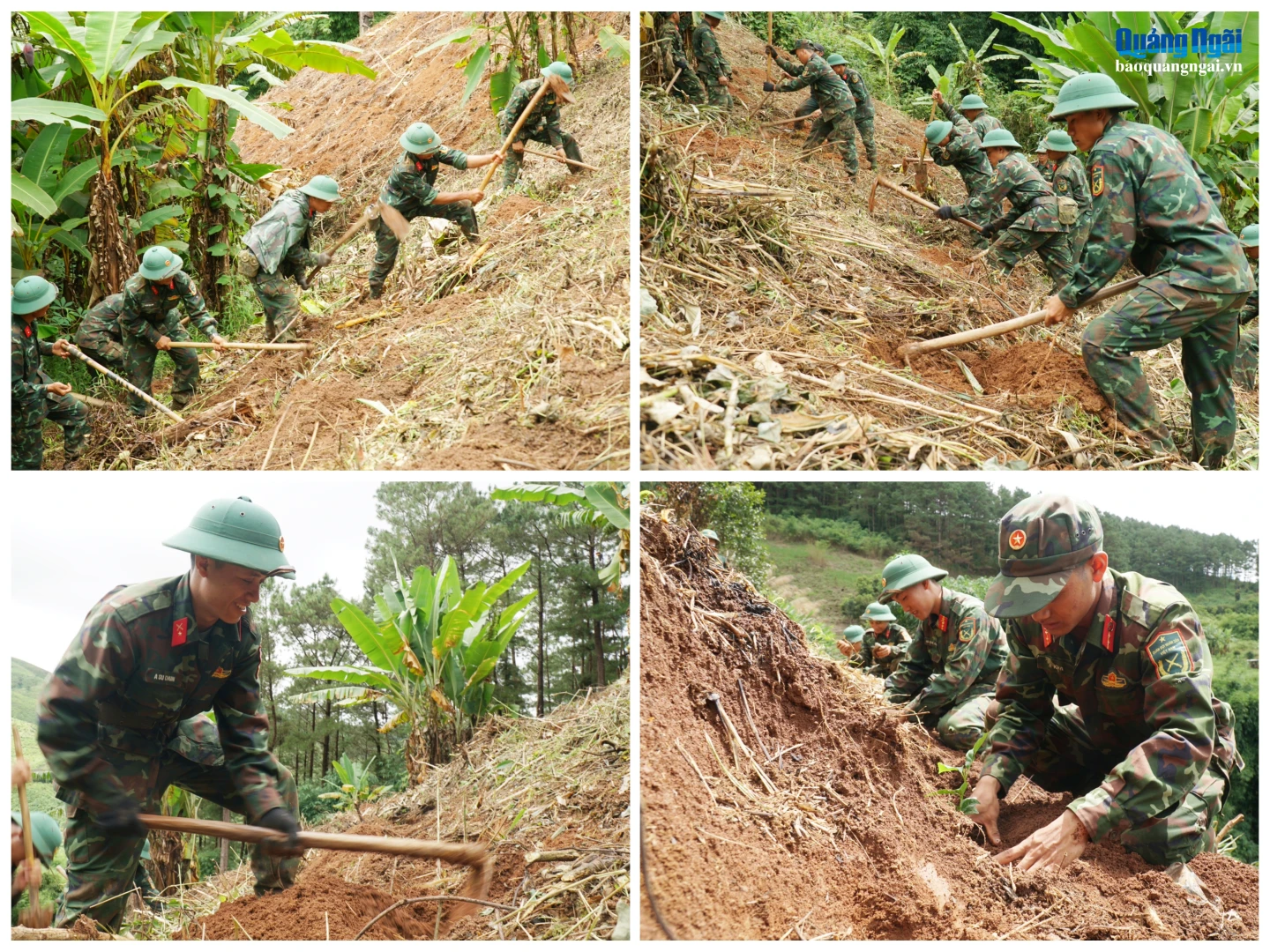 Cán bộ, chiến sĩ Trung đoàn 990 hỗ trợ người dân xã Tu Mơ Rông xuống giống cây cà phê.