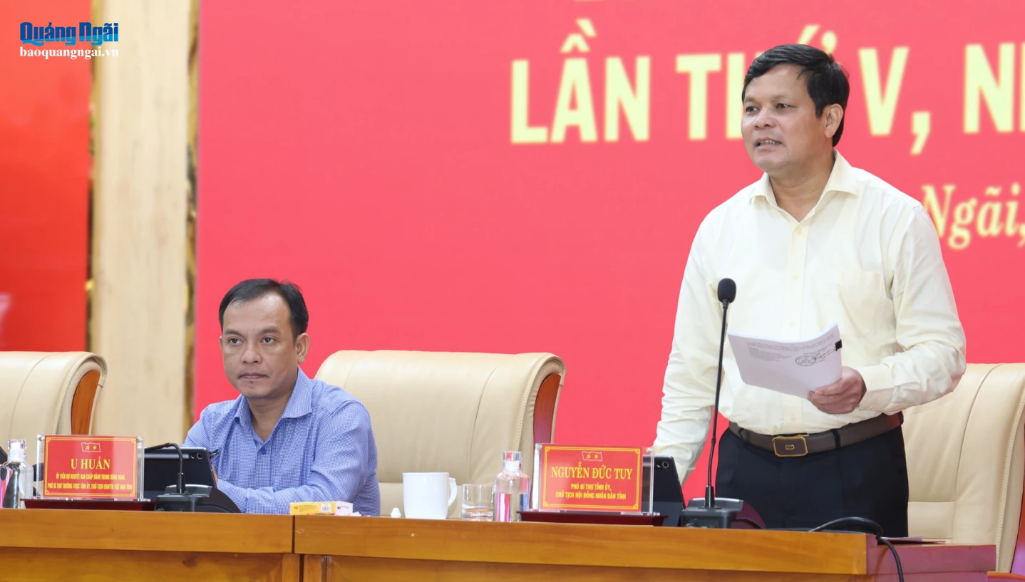 Phó Bí thư Tỉnh ủy, Chủ tịch HĐND tỉnh Nguyễn Đức Tuy phát biểu tại hội nghị.