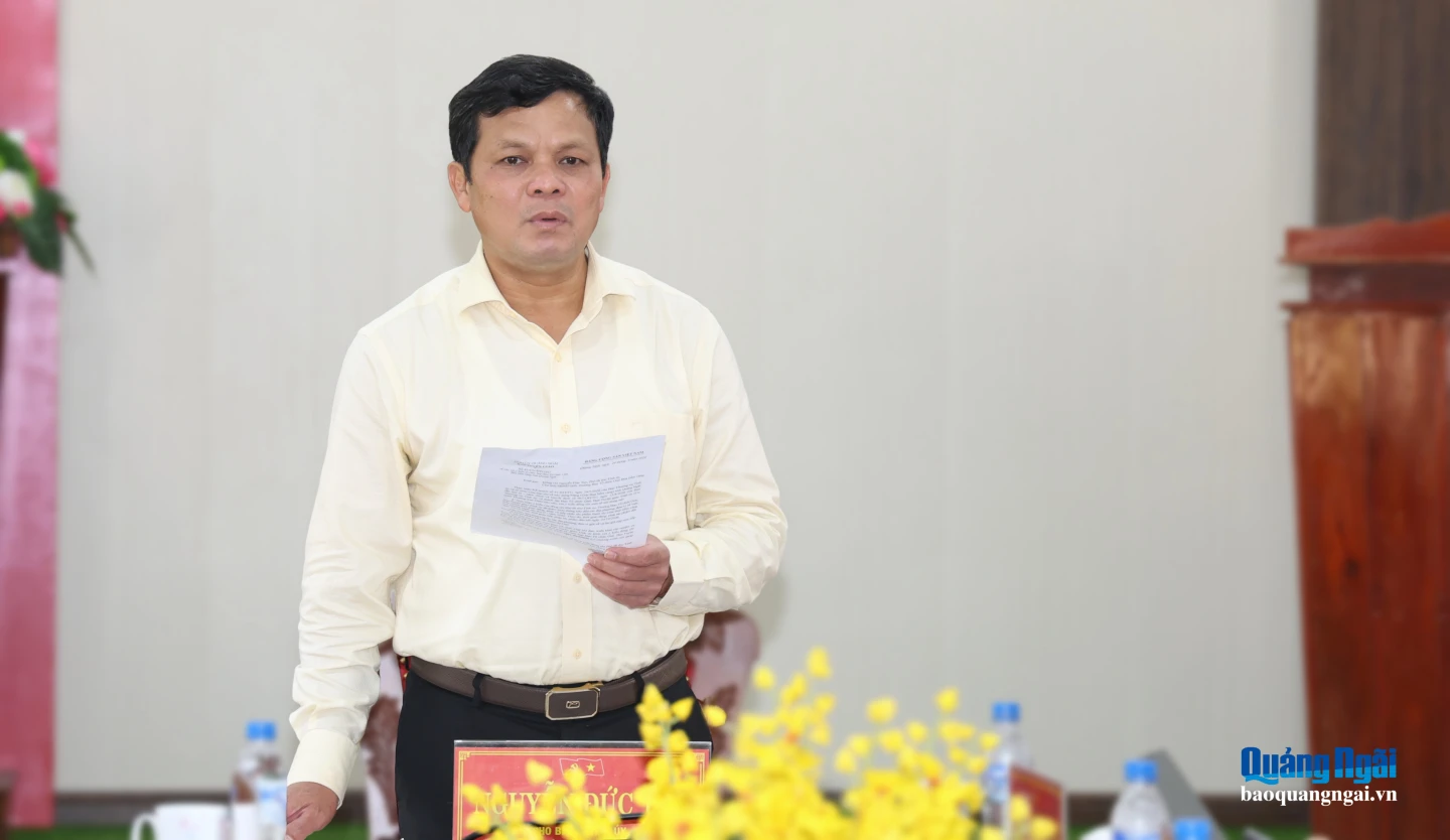 Phó Bí thư Tỉnh ủy, Chủ tịch HĐND tỉnh Nguyễn Đức Tuy chủ trì cuộc họp.