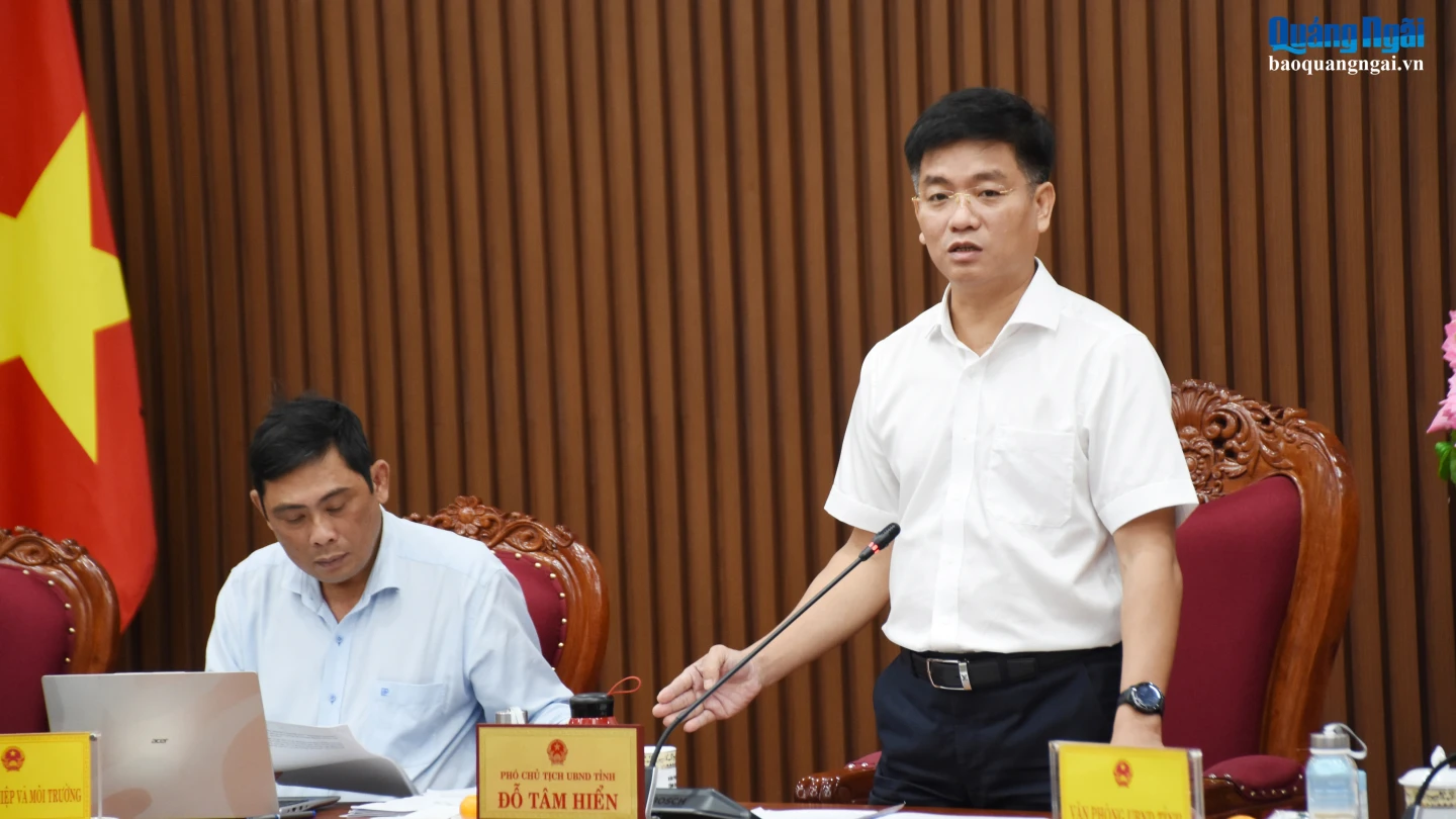 Phó Chủ tịch UBND tỉnh Đỗ Tâm Hiển phát biểu tại cuộc họp.