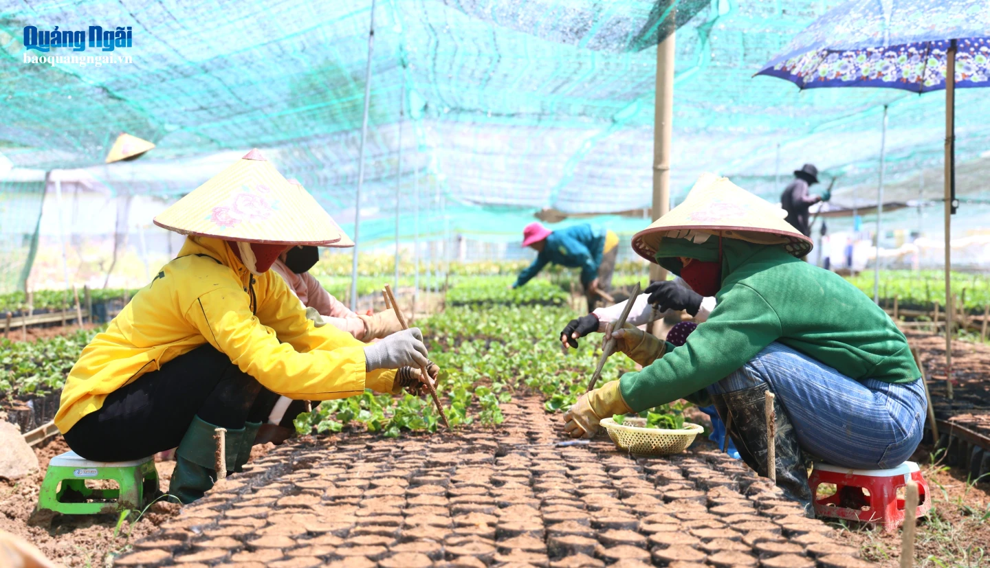 Người dân vùng đồng bào dân tộc thiểu số từng bước tiếp cận, áp dụng các mô hình sản xuất mới phù hợp với điều kiện địa phương.