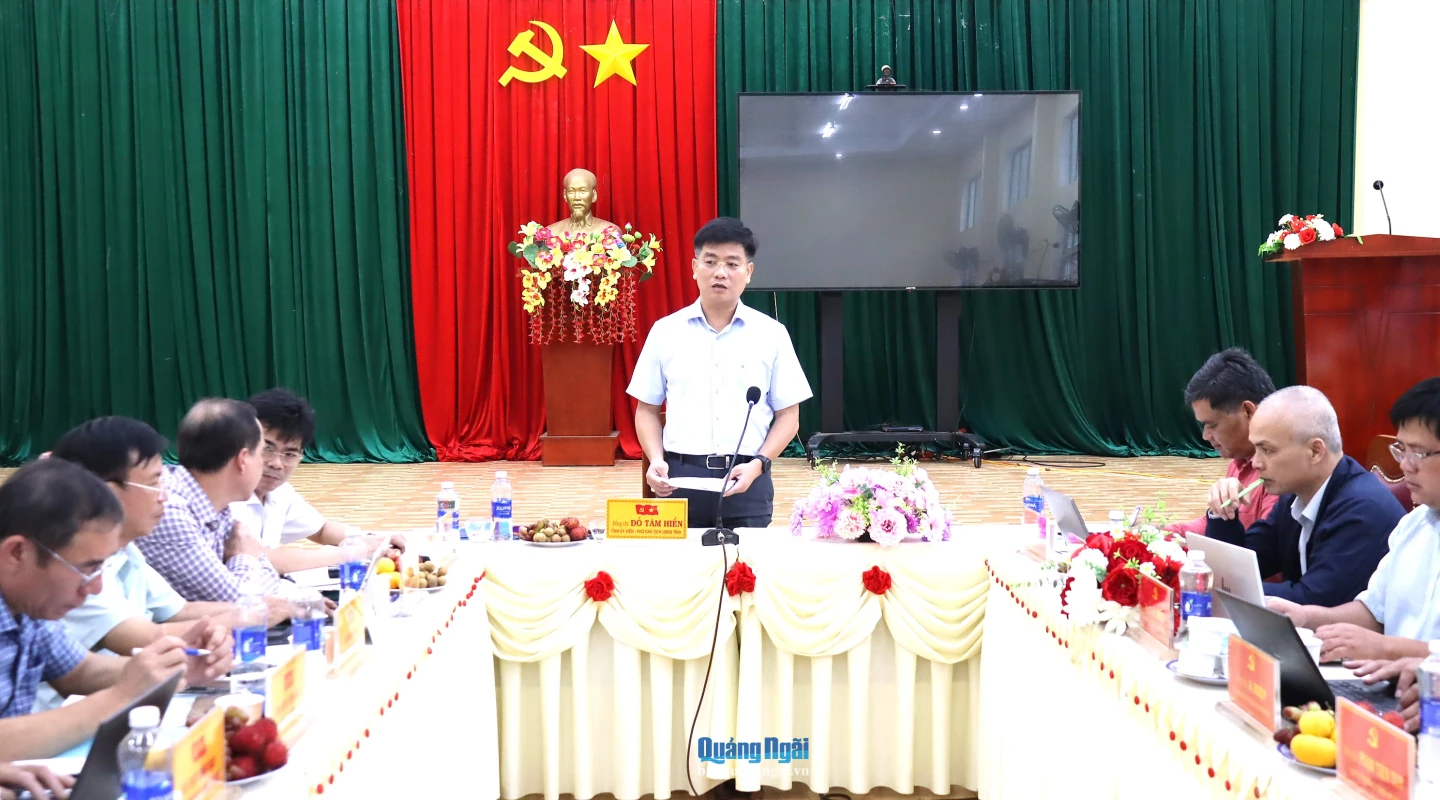 Phó Chủ tịch UBND tỉnh Đỗ Tâm Hiển phát biểu chỉ đạo tại buổi làm việc.