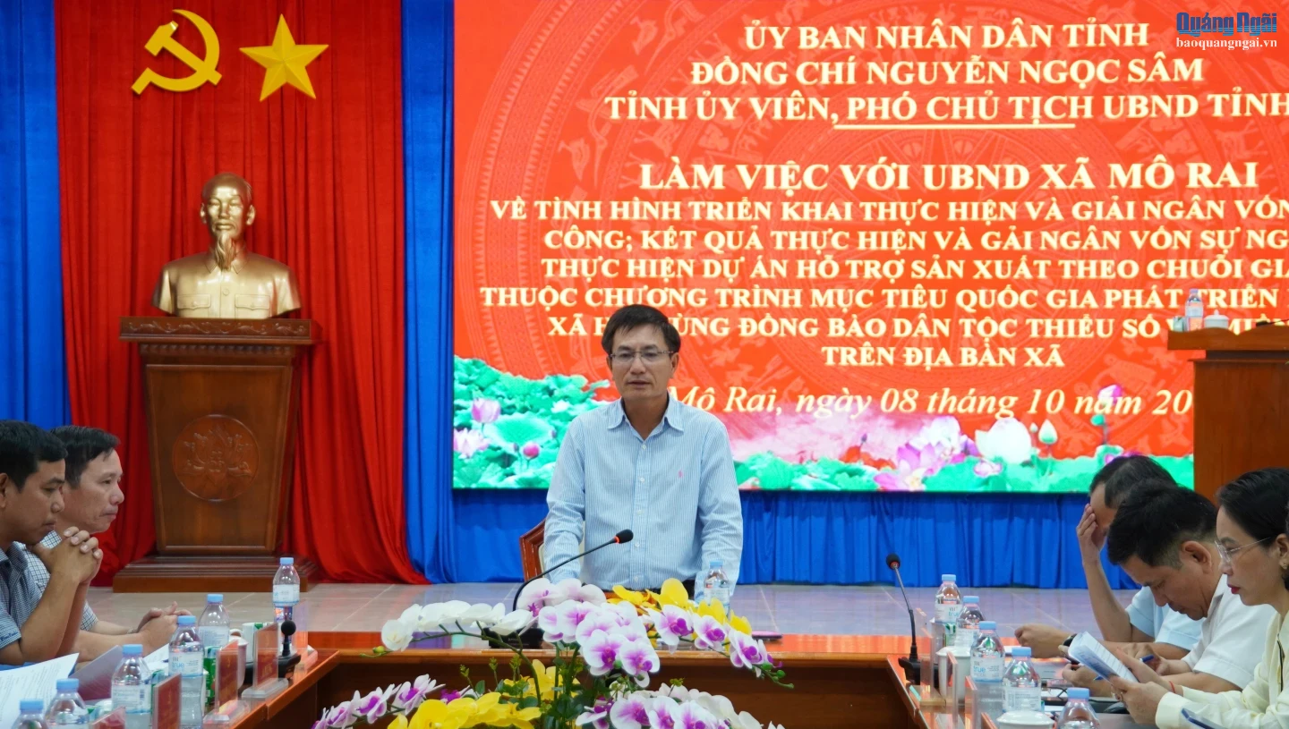 Phó Chủ tịch UBND tỉnh Nguyễn Ngọc Sâm chủ trì buổi làm việc.