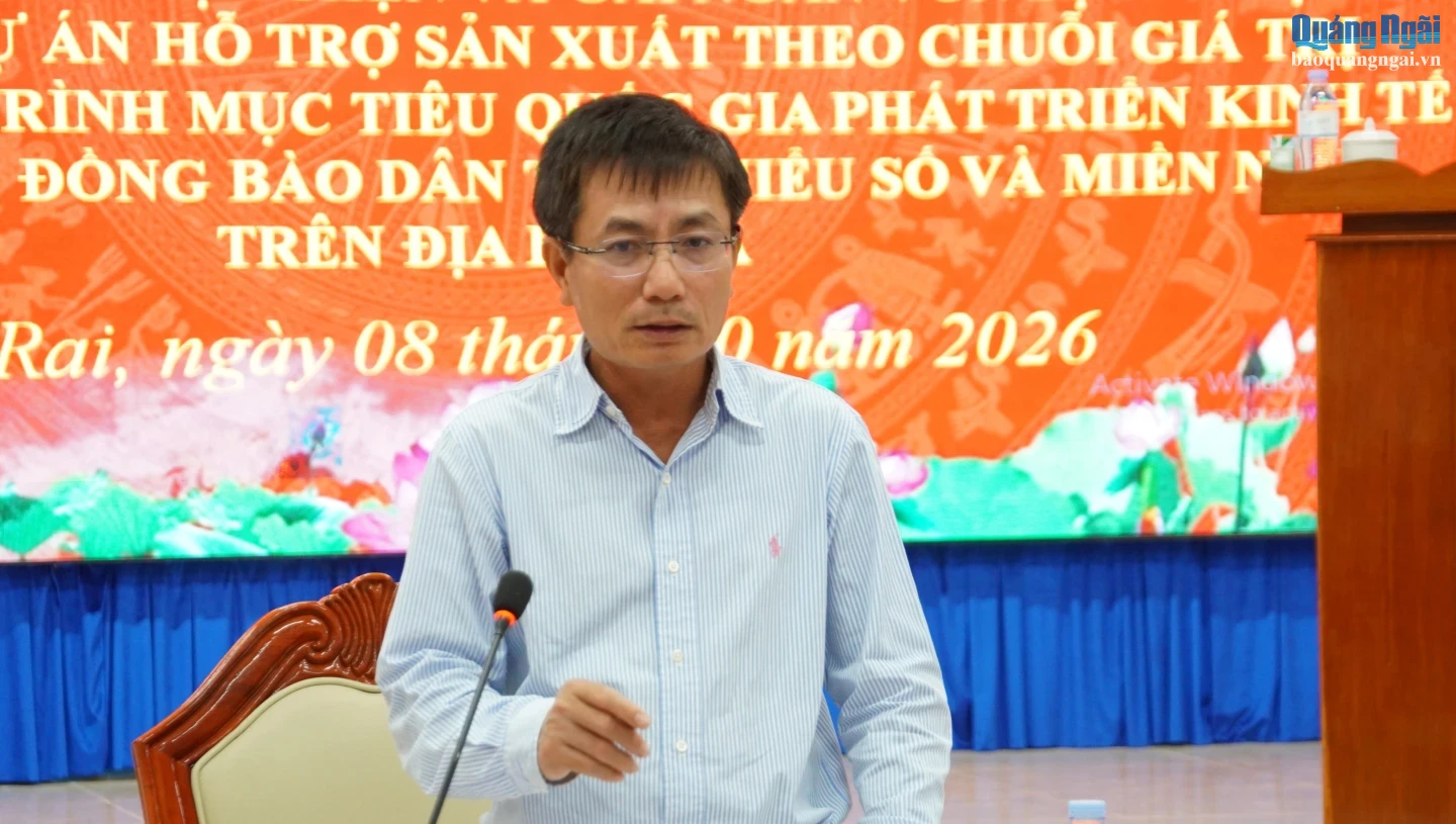 Phó Chủ tịch UBND tỉnh Nguyễn Ngọc Sâm phát biểu chỉ đạo tại buổi làm việc.