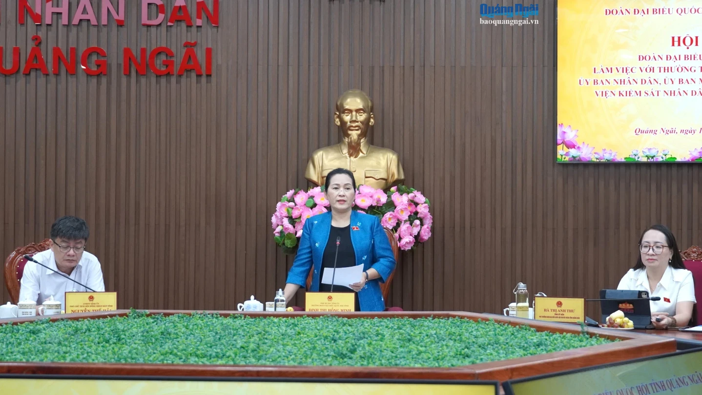 Phó Bí thư Tỉnh ủy, Trưởng Đoàn Đại biểu Quốc hội tỉnh Đinh Thị Hồng Minh chủ trì hội nghị.