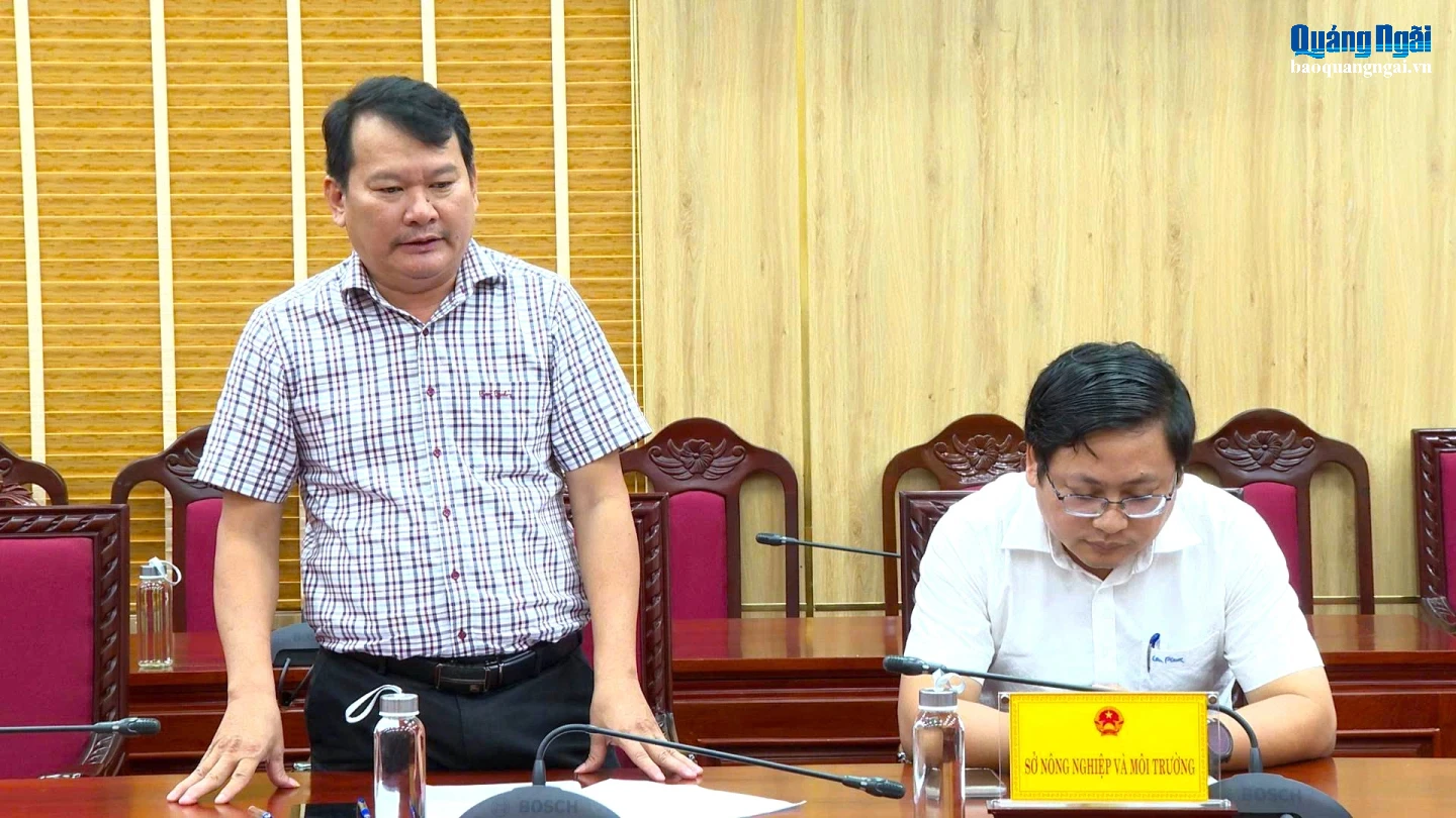Đại diện Sở NN&MT tham gia ý kiến về phương án cho thuê đất ngắn hạn.