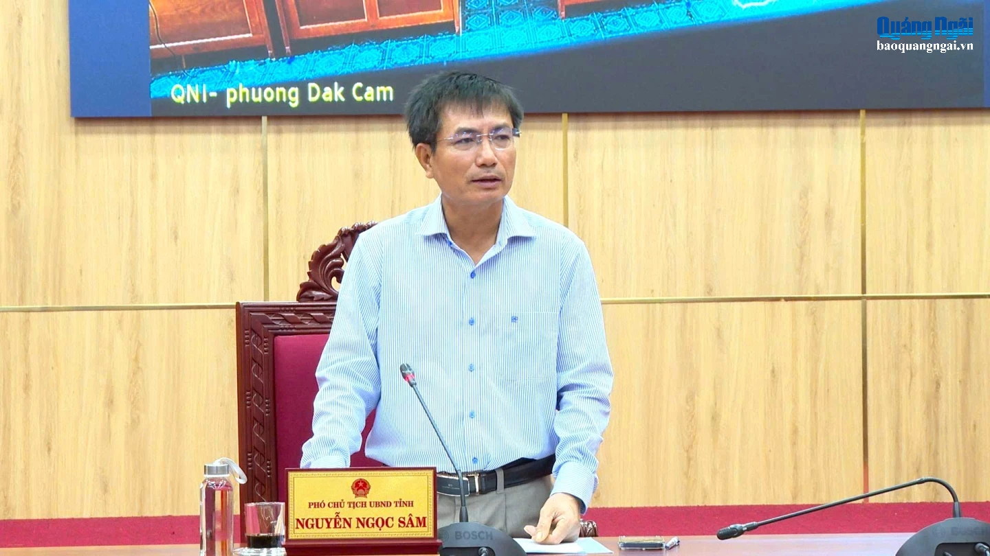 Phó Chủ tịch UBND tỉnh Nguyễn Ngọc Sâm phát biểu chỉ đạo tại cuộc họp. 