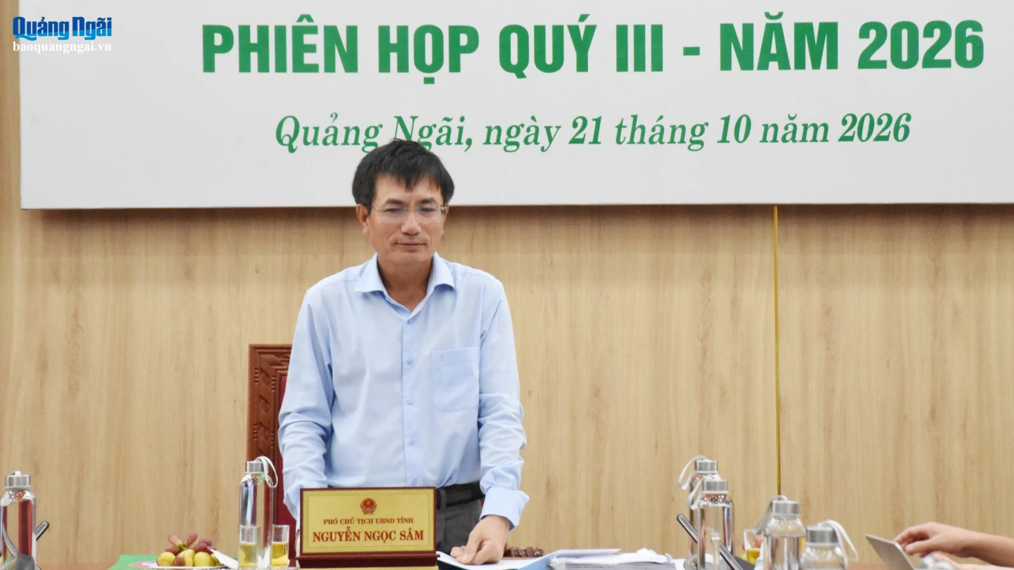 Phó Chủ tịch UBND tỉnh Nguyễn Ngọc Sâm kết luận buổi làm việc.