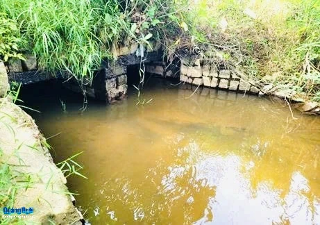  Cống tiêu tại lý trình K3+919 kênh N8 tại thời điểm khảo sát thực tế có khẩu độ nhỏ, vào mùa mưa thường gây ngập úng.
