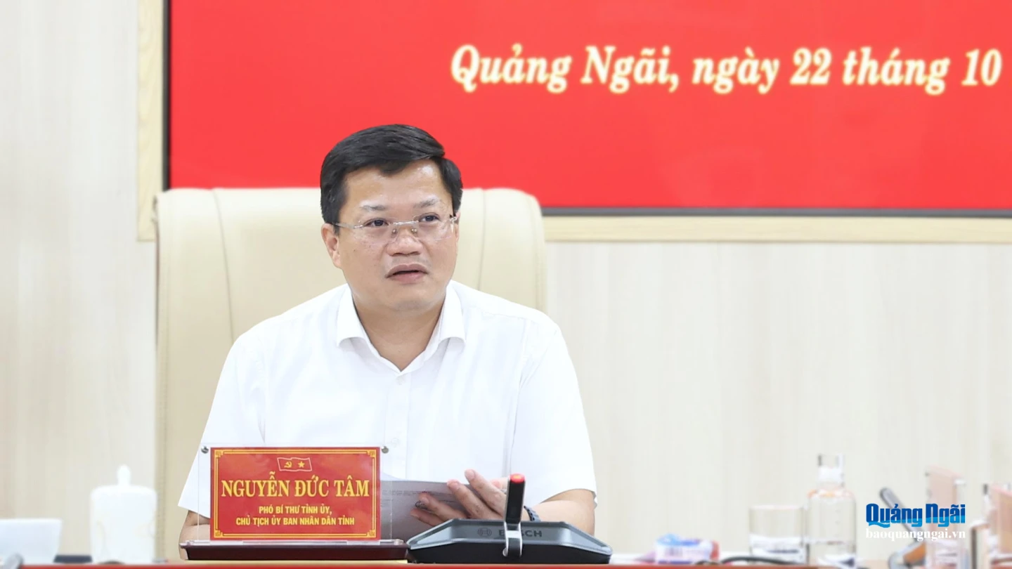 Phó Bí thư Tỉnh ủy, Chủ tịch UBND tỉnh Nguyễn Đức Tâm chủ trì cuộc họp.
