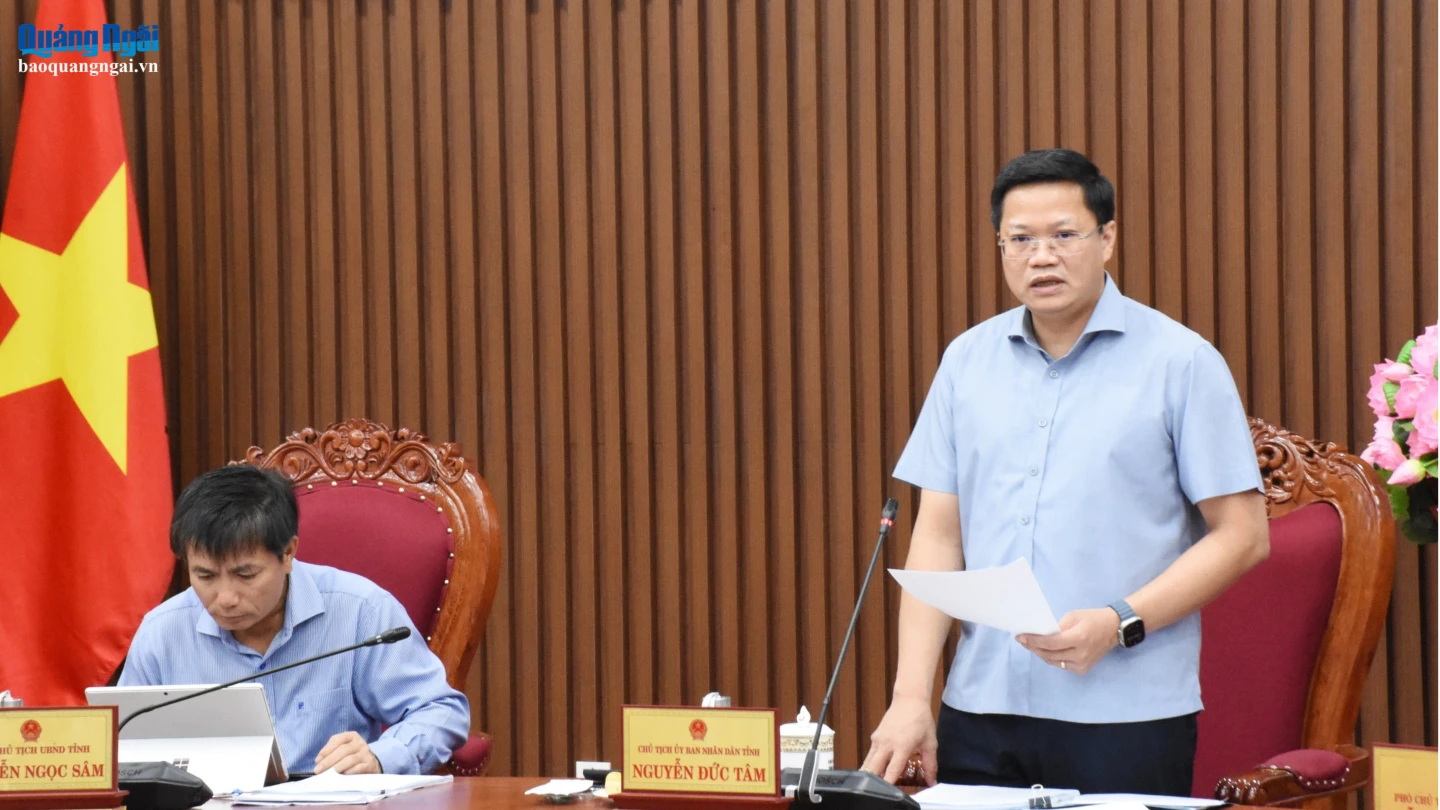 Phó Bí thư Tỉnh ủy, Chủ tịch UBND tỉnh Nguyễn Đức Tâm kết luận cuộc họp.