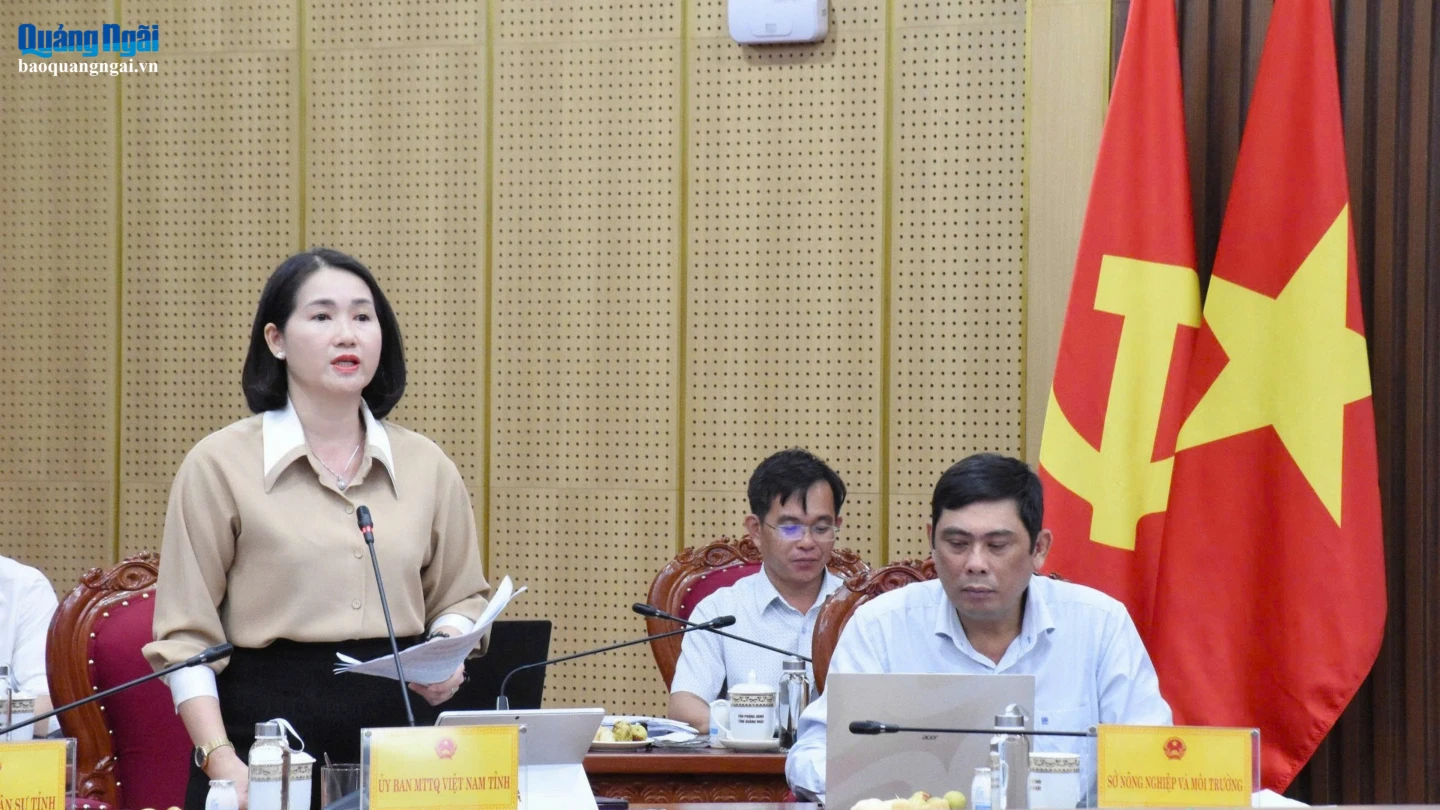 Phó Chủ tịch Ủy ban MTTQ Việt Nam tỉnh Nguyễn Thị Ánh Lan phát biểu tại cuộc họp.