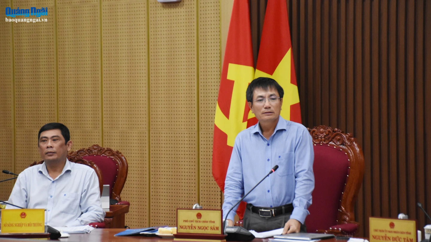 Phó Chủ tịch UBND tỉnh Nguyễn Ngọc Sâm phát biểu tại cuộc họp.