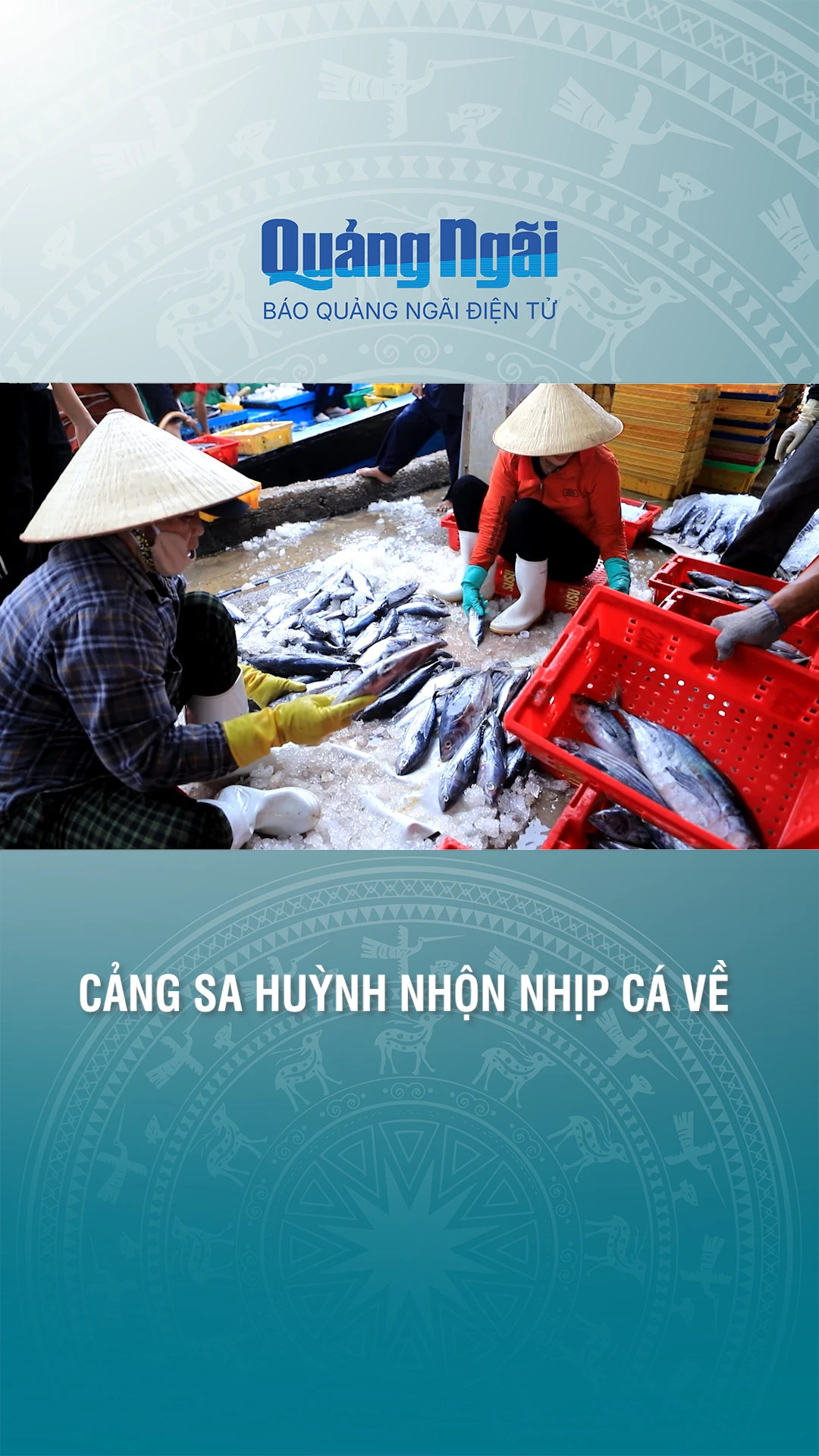 Cảng Sa Huỳnh nhộn nhịp c&aacute; về