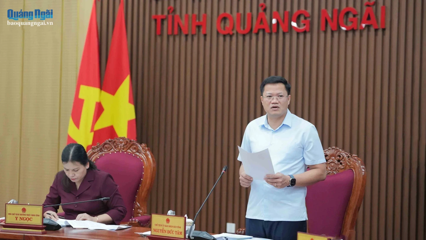 Phó Bí thư Tỉnh ủy, Chủ tịch UBND tỉnh Nguyễn Đức Tâm phát biểu kết luận tại cuộc họp.
