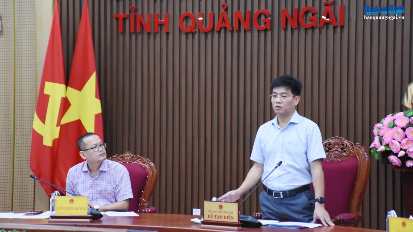 Phó Chủ tịch UBND tỉnh Đỗ Tâm Hiển chủ trì cuộc họp.
