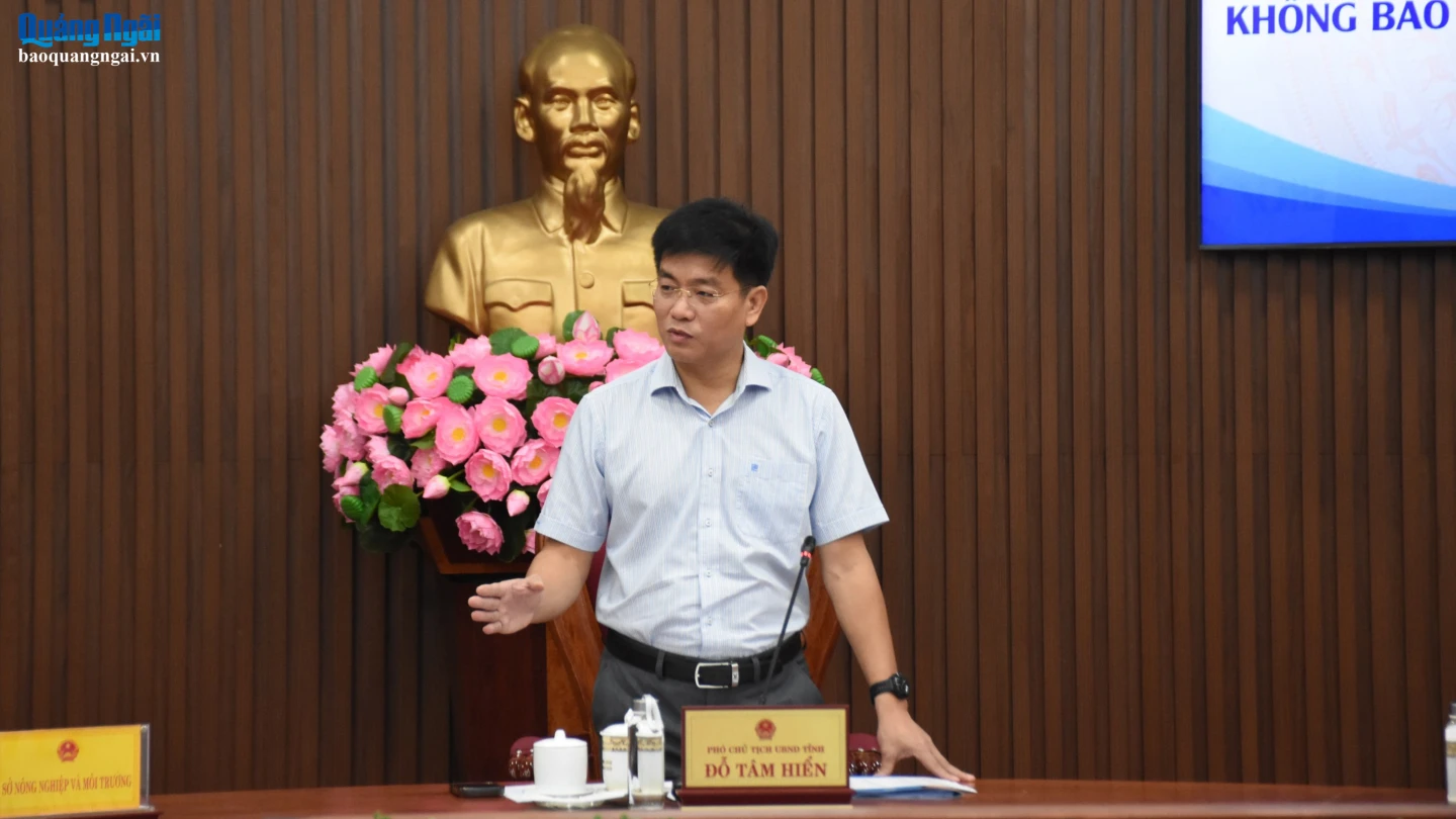 Phó Chủ tịch UBND tỉnh Đỗ Tâm Hiển kết luận cuộc họp.