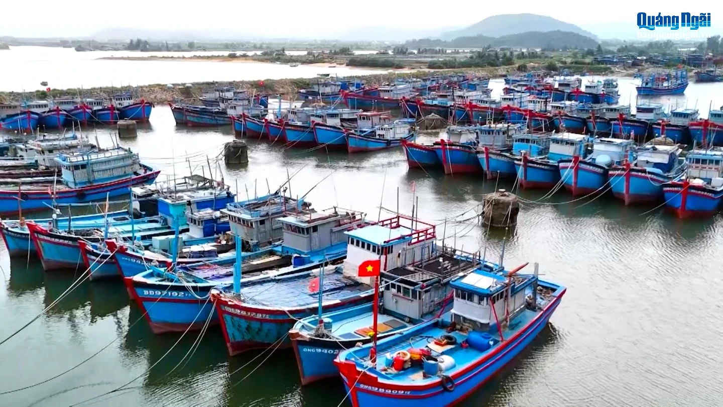 Nghị quyết 39/2025 của HĐND tỉnh về chính sách hỗ trợ chuyển đổi nghề, giải bản tàu cá được thực hiện đến hết ngày 31/12/2026.
