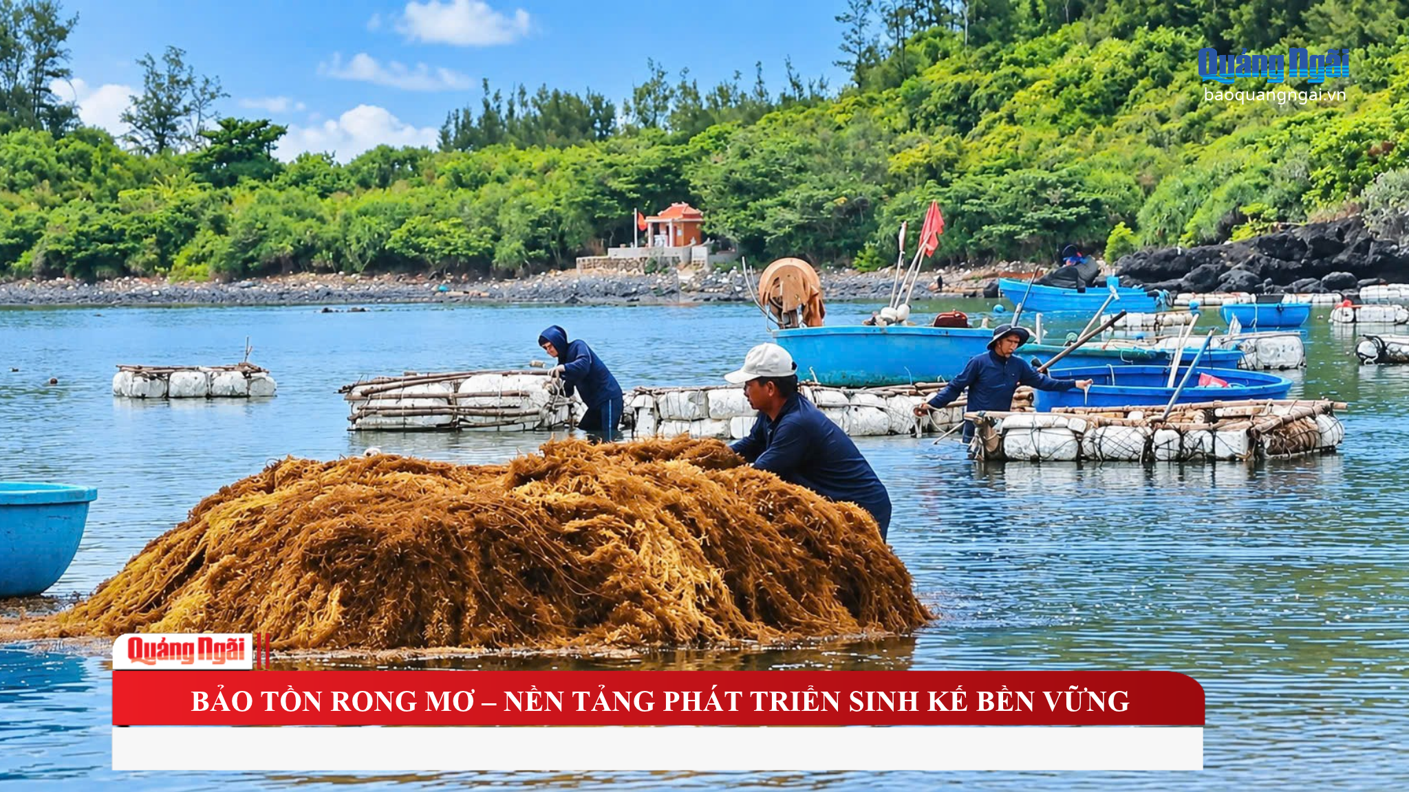 Bảo tồn rong mơ - Nền tảng ph&aacute;t triển sinh kế bền vững