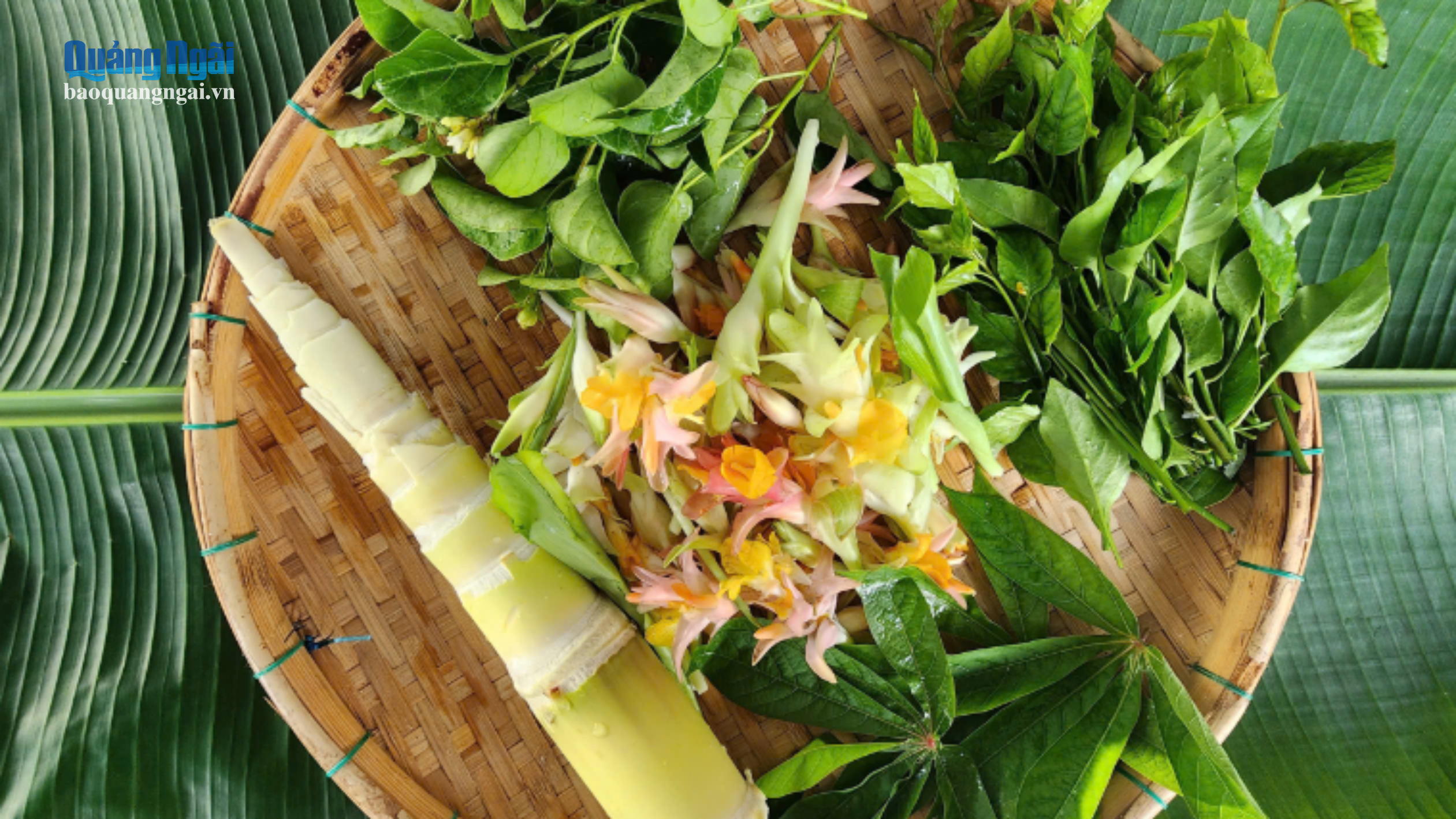 Nhớ vị mắm c&aacute;i quyện hoa nghệ rừng