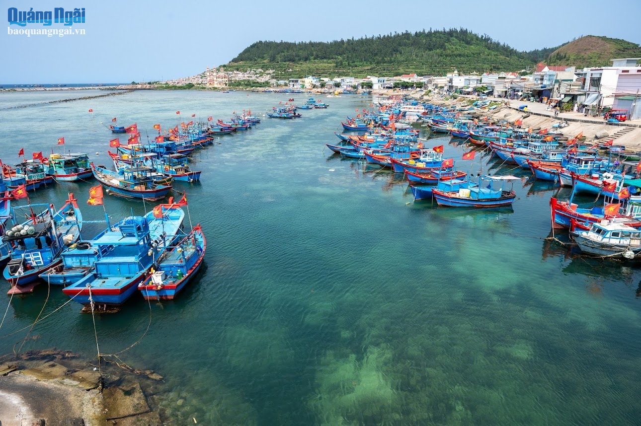Đặc khu Lý Sơn hiện có 564 tàu cá hoạt động ở nhiều vùng biển khác nhau.
